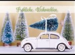 Käfer_Weihnachten.jpg