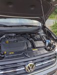 IMG_20200730_104035.jpg