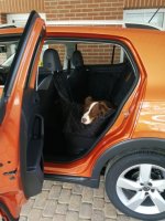 Hund.jpg Hund.jpg