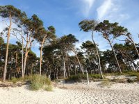 2022083121350501.jpg 2022083121350501.jpg