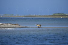 2022083121350502.jpg 2022083121350502.jpg