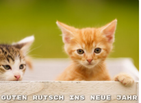 1735583635884.png 1735583635884.png