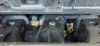 2025-05-31 VW_Brot_3.jpg