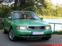 Paradiesgrün-Metallic Beispiel.jpg