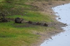 Z61_0174.jpg Z61_0174.jpg