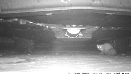 2025-11-28_01.27.53 Marder_1-S.JPG
