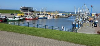 IMG-20260925-WA0000.jpg